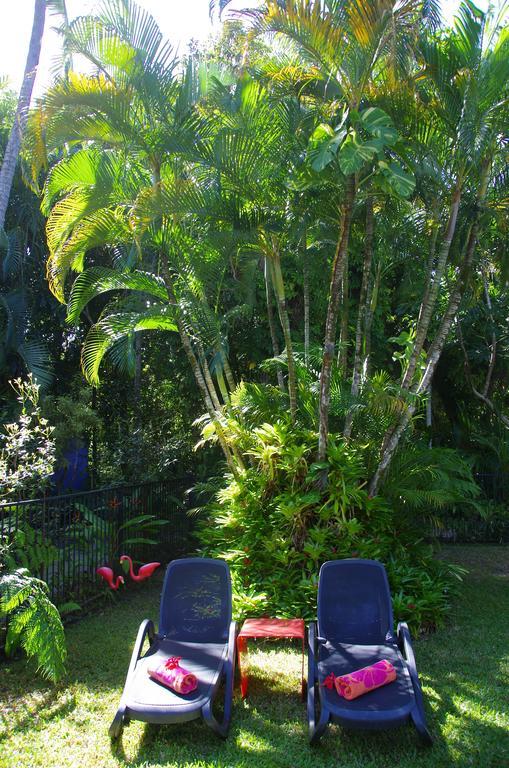 Pink Flamingo Resort Port Douglas Eksteriør billede