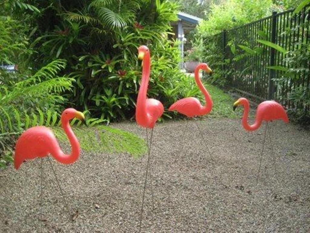 Pink Flamingo Resort Port Douglas Eksteriør billede