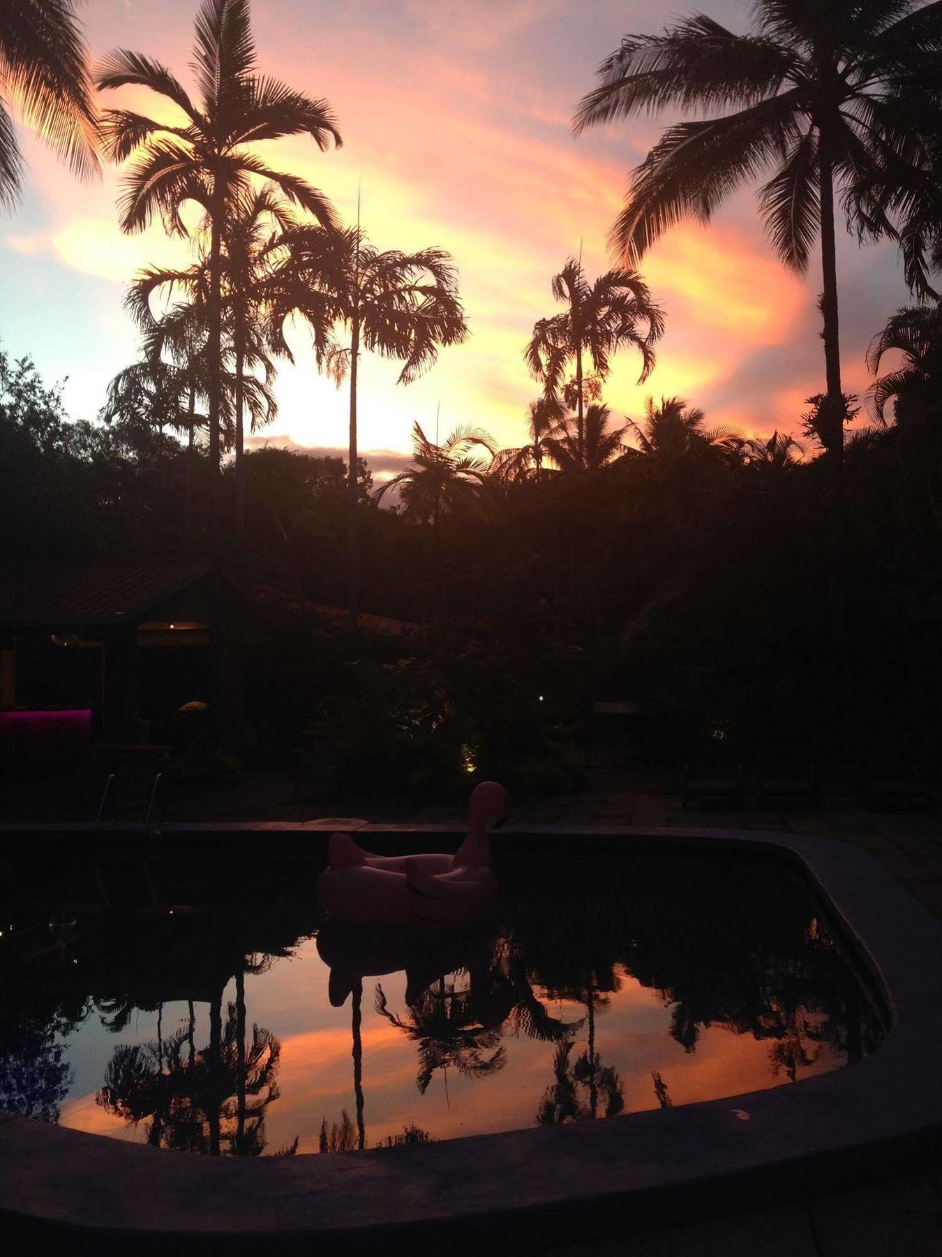 Pink Flamingo Resort Port Douglas Eksteriør billede