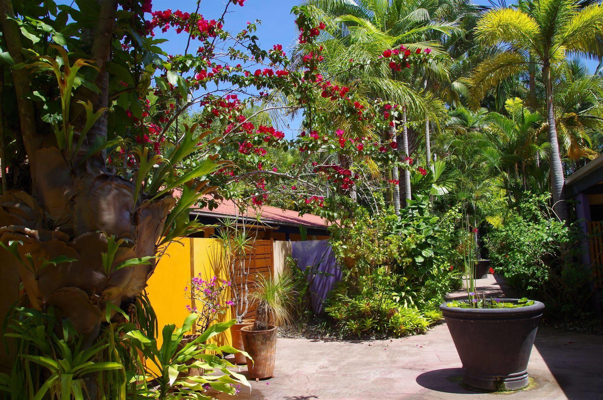 Pink Flamingo Resort Port Douglas Eksteriør billede